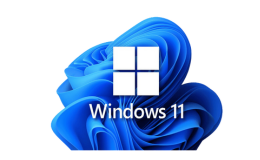 WINDOWS 11